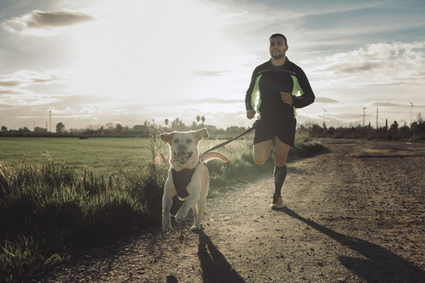 آیا قدم زدن یا دویدن سگ ها ایمن است؟
