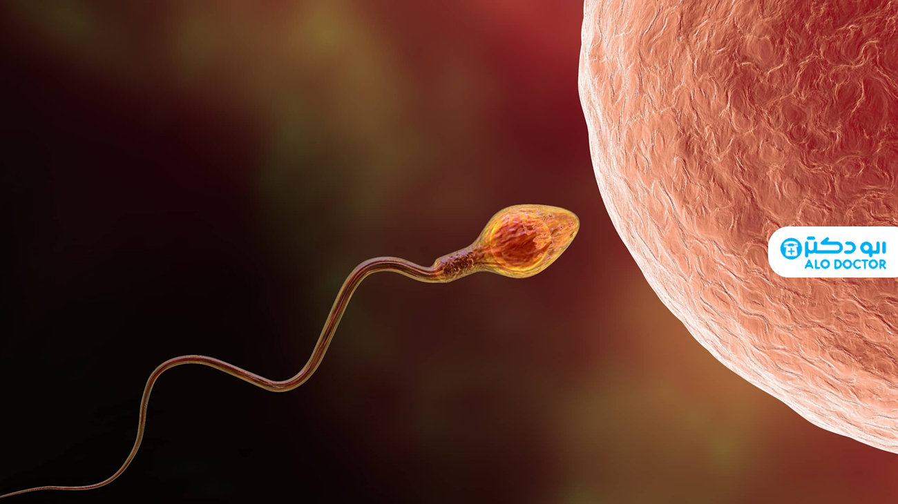 اسپرم چه مدت در واژن زنده می ماند؟