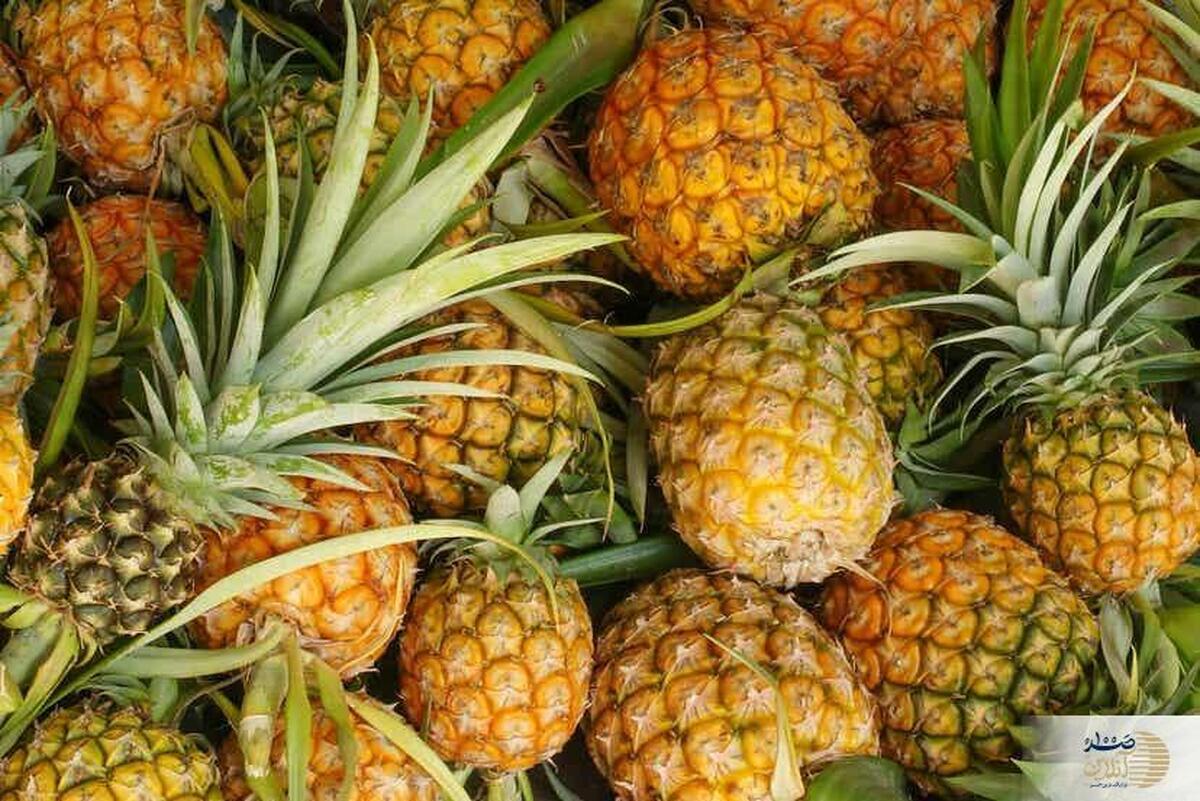آناناس را فراموش نکنید+ میوه ضد التهاب ، ضد درد و ضد ترومبوز