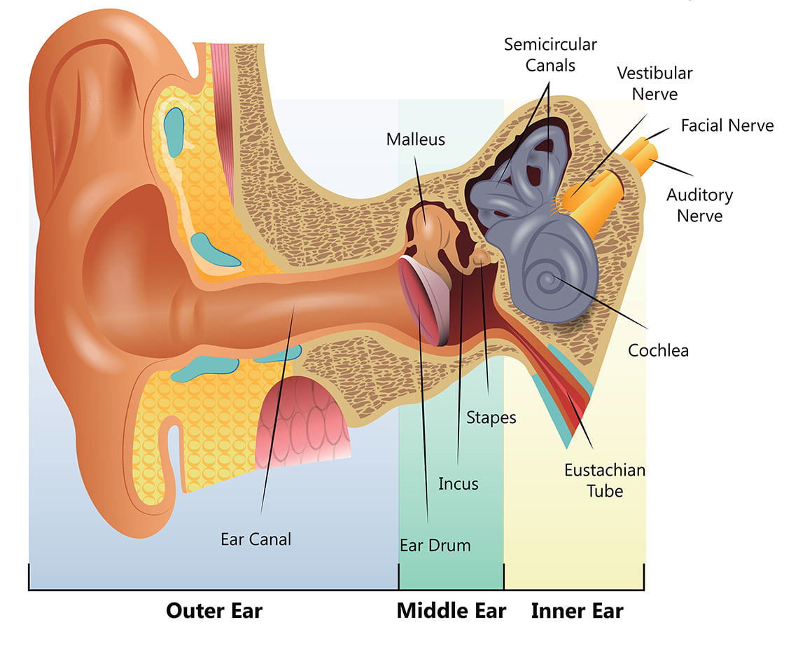 با تشخیص به موقع  مشکلات ناشنوایی تا 95 درصد قابل درمان است