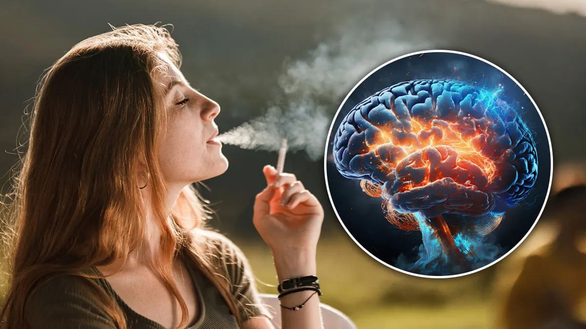 سیگار نکشید تا حجم مغزتان کوچک نشود!