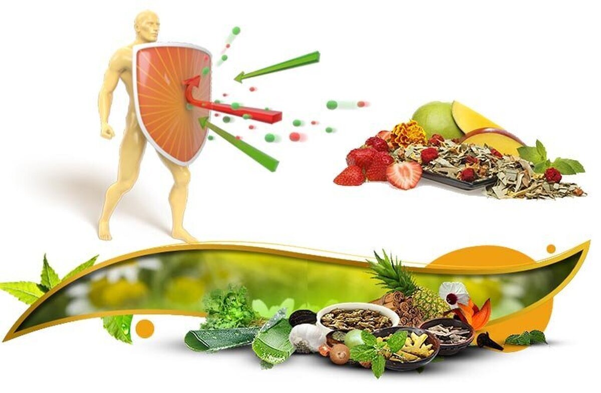 سیستم ایمنی بدن خود را با این ۵ ماده غذایی بهبود ببخشید