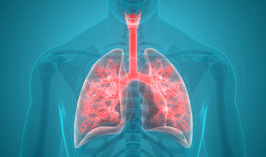 Spirometry, cardiopulmonary exercise testing